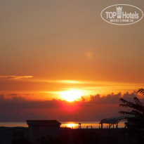 фото из отзыва ID 2005822