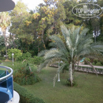 фото из отзыва ID 2005840