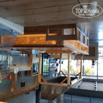 фото из отзыва ID 2006028