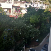 фото из отзыва ID 2006615