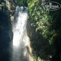 фото из отзыва ID 2006518