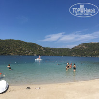 фото из отзыва ID 2006390