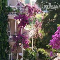 фото из отзыва ID 2005939