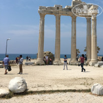 фото из отзыва ID 2006907