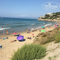 фото из отзыва ID 2006886