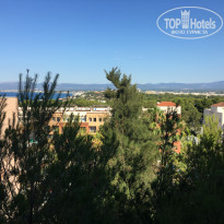 фото из отзыва ID 2006886