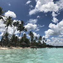 фото из отзыва ID 2006956