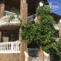 фото из отзыва ID 2007006