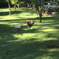 фото из отзыва ID 2007030