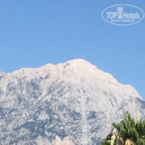 фото из отзыва ID 2007030