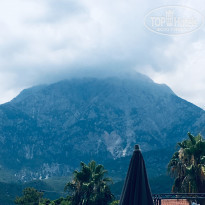 фото из отзыва ID 2007030