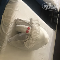 фото из отзыва ID 2007023