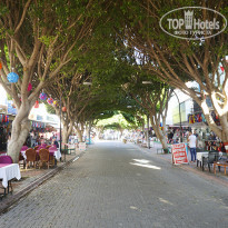 фото из отзыва ID 2007087