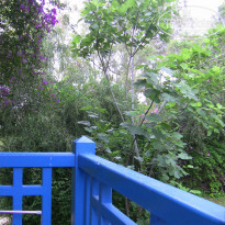 фото из отзыва ID 2007201