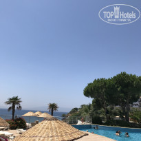 фото из отзыва ID 2007225