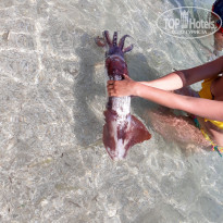 фото из отзыва ID 2007246