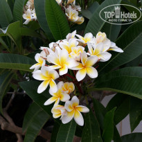 фото из отзыва ID 2007246