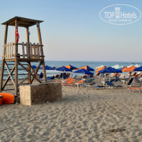 фото из отзыва ID 2007409