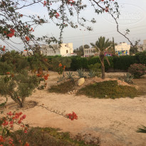 фото из отзыва ID 2007475