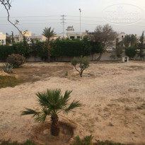 фото из отзыва ID 2007475