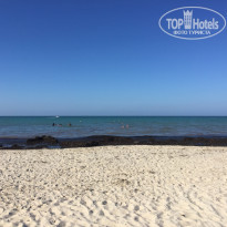 фото из отзыва ID 2007475