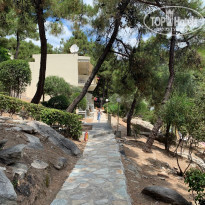 фото из отзыва ID 2007470