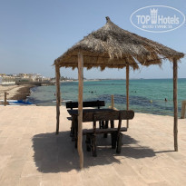 фото из отзыва ID 2007288