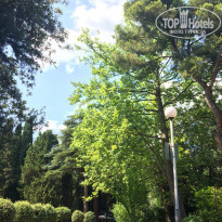 фото из отзыва ID 2007670