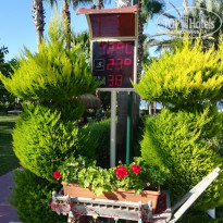 фото из отзыва ID 2007628