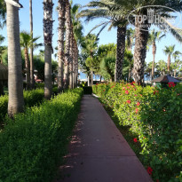 фото из отзыва ID 2007628