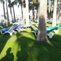 фото из отзыва ID 2007628