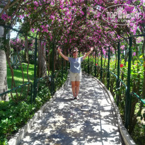 фото из отзыва ID 2007628