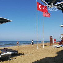 фото из отзыва ID 2007628