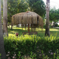 фото из отзыва ID 2007628