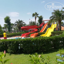 фото из отзыва ID 2007628