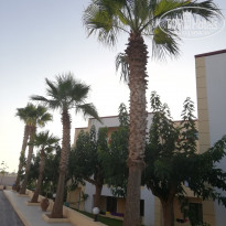 фото из отзыва ID 2007600