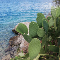 фото из отзыва ID 2007600