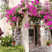 фото из отзыва ID 2007600