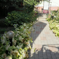 фото из отзыва ID 2007662