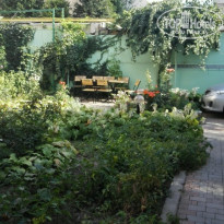 фото из отзыва ID 2007662