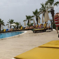 фото из отзыва ID 2007707