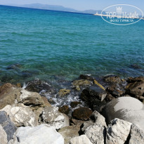 фото из отзыва ID 2007689