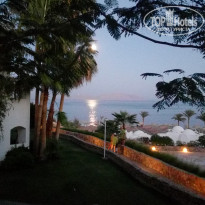 фото из отзыва ID 2007750