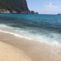 фото из отзыва ID 2007738