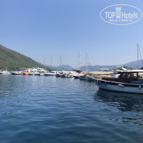 фото из отзыва ID 2007038