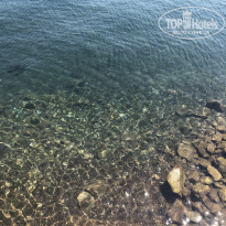 фото из отзыва ID 2007038