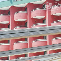 фото из отзыва ID 2007964