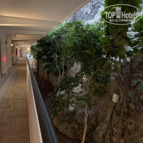 фото из отзыва ID 2007974