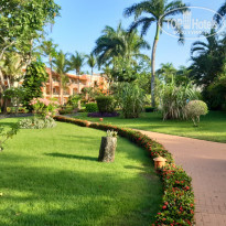 фото из отзыва ID 2008086