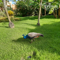 фото из отзыва ID 2008086